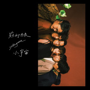 欧美穿环穿孔HD
