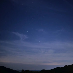 欧美穿环穿孔HD
